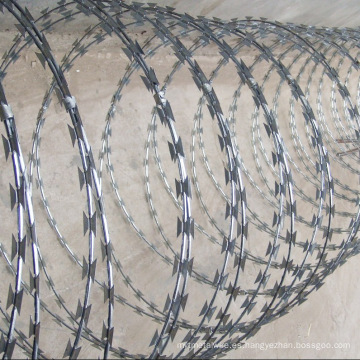 Protección de Concertina de alambre valla de alambre (BTO-22)